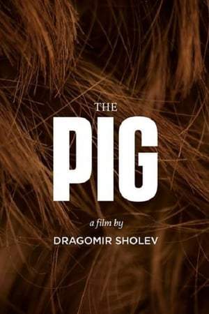 Свинья онлайн